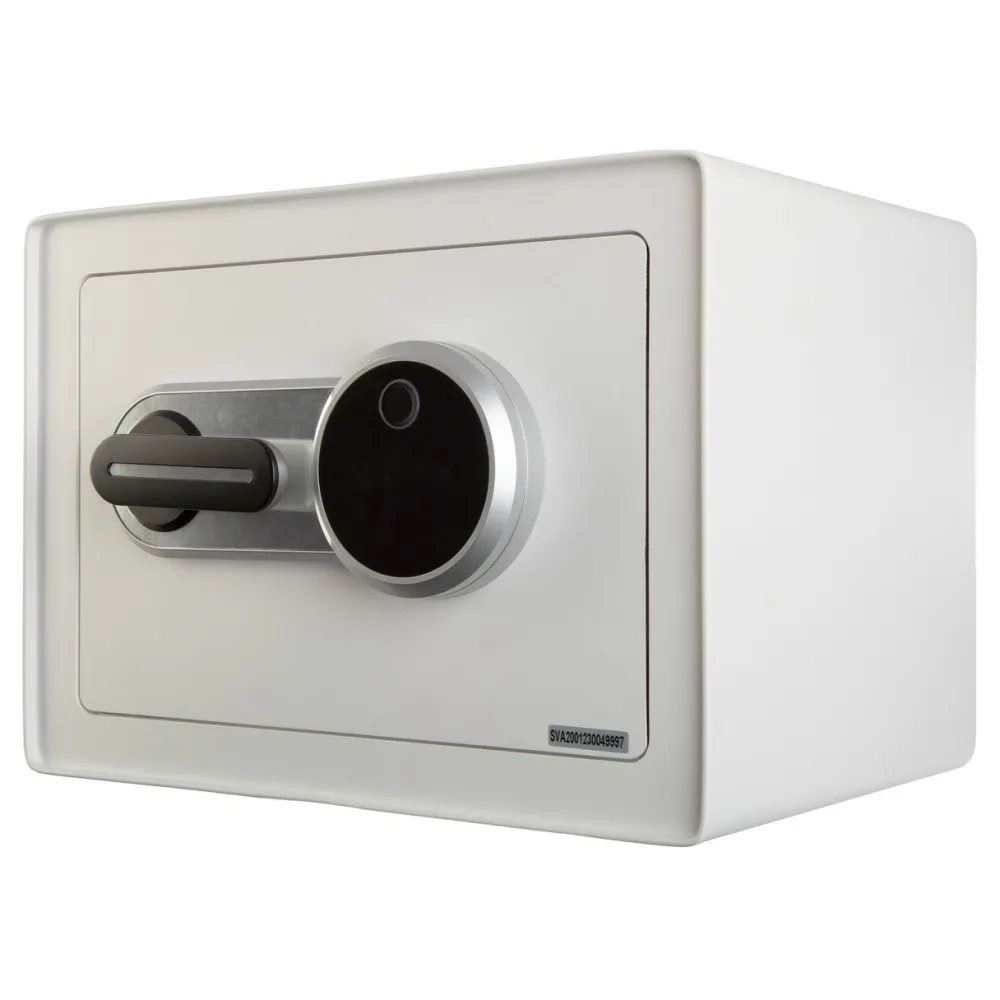 garrett-wade Biometric Safe/Lock Box Sale