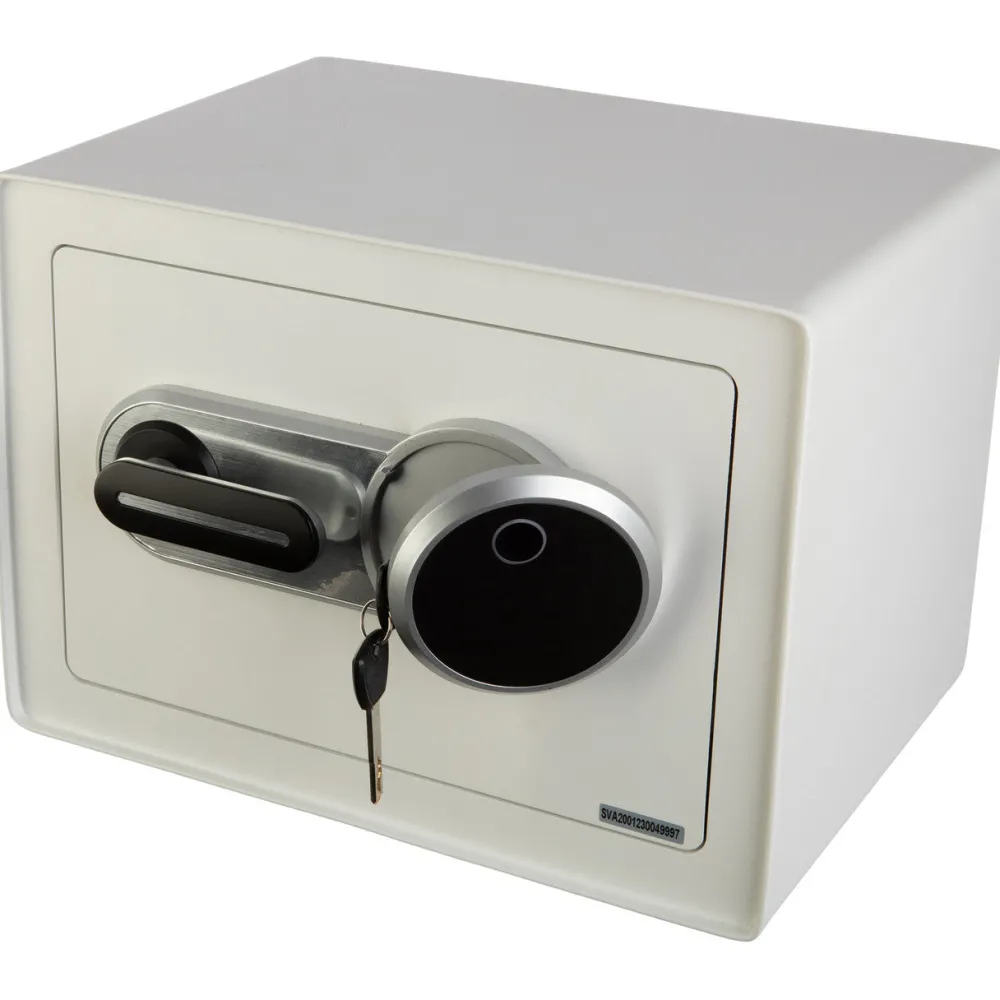 garrett-wade Biometric Safe/Lock Box Sale