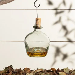 garrett-wade Eco-Friendly Glass Wasp Trap Best