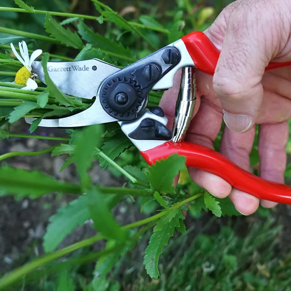 Garrett Wade Everyday Go-To Pruners Sale