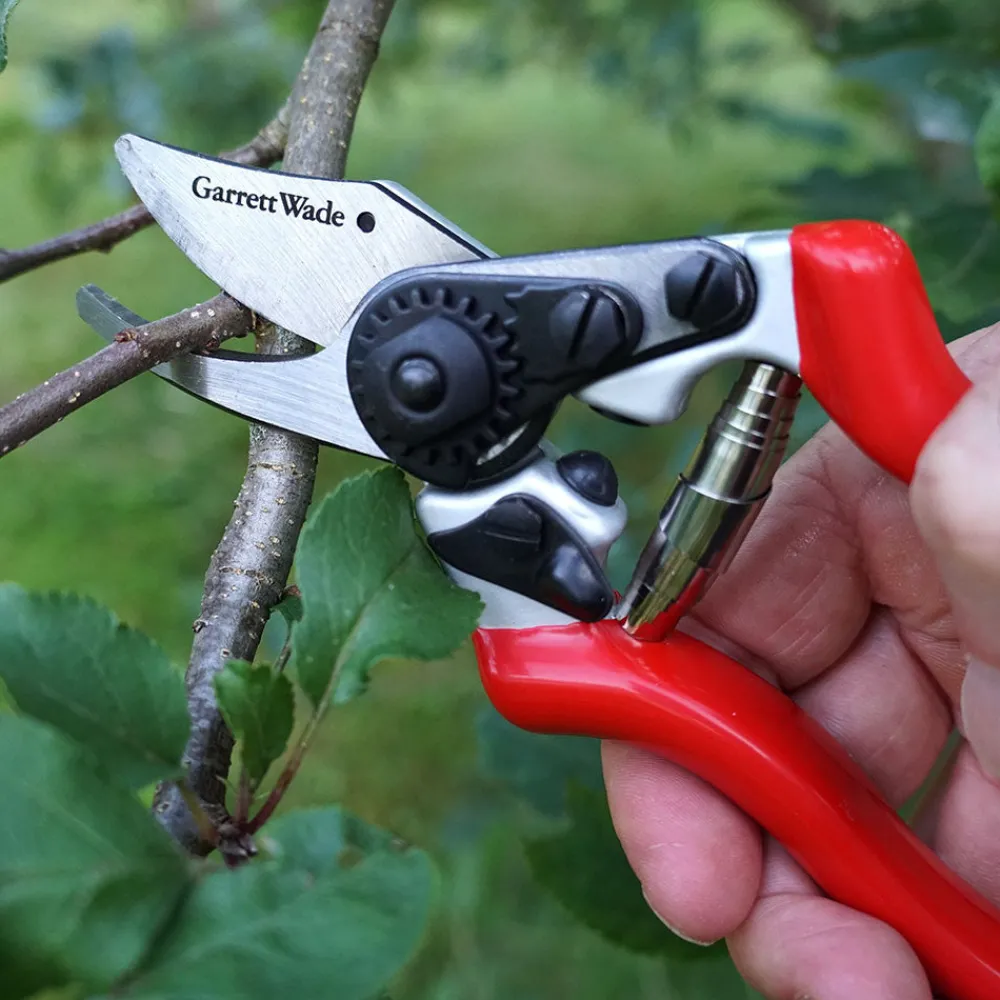 Garrett Wade Everyday Go-To Pruners Sale