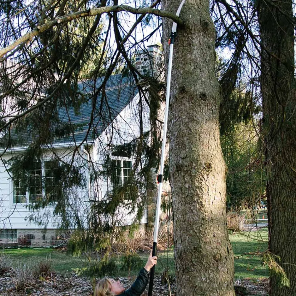 Garrett Wade Extendable Jumbo Pole Saw & Pruner Best