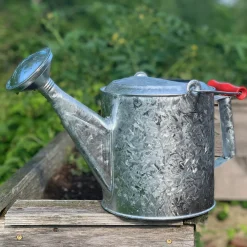 garrett-wade Galvanized 1.5 Gallon Watering Can with Wooden Handle Clearance
