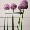Garrett Wade Garden Support Large Outlet