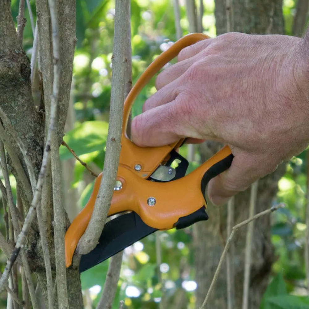 garrett-wade Garrett Wade Ratcheting Hand Pruner & Sheath Online