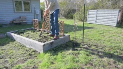 garrett-wade Heavy-Duty Standing Weed Puller