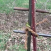 Garrett Wade Interlocking Steel Garden Trellis Discount