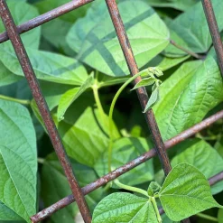 Garrett Wade Interlocking Steel Garden Trellis Discount