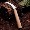 garrett-wade Japanese Angled Root Cutter Best