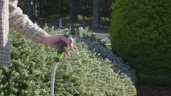 garrett-wade 8-Jet Watering Nozzle Outlet