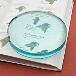 garrett-wade Large Desktop Magnifier Best