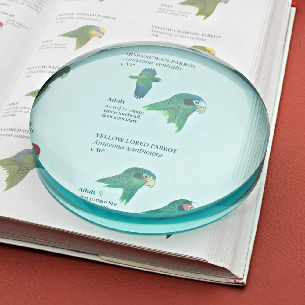 garrett-wade Large Desktop Magnifier Best