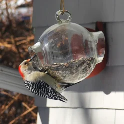 garrett-wade Large Glass Bird Feeder Sale