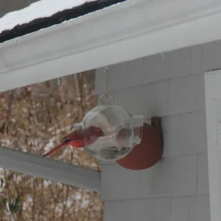 garrett-wade Large Glass Bird Feeder Sale
