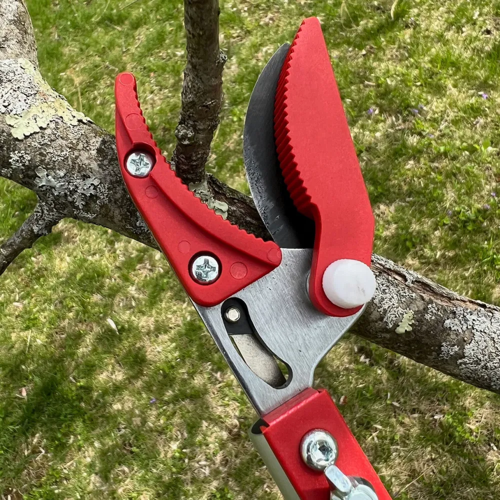 Garrett Wade Long Reach Pruner (Extends to 5 Feet) Best
