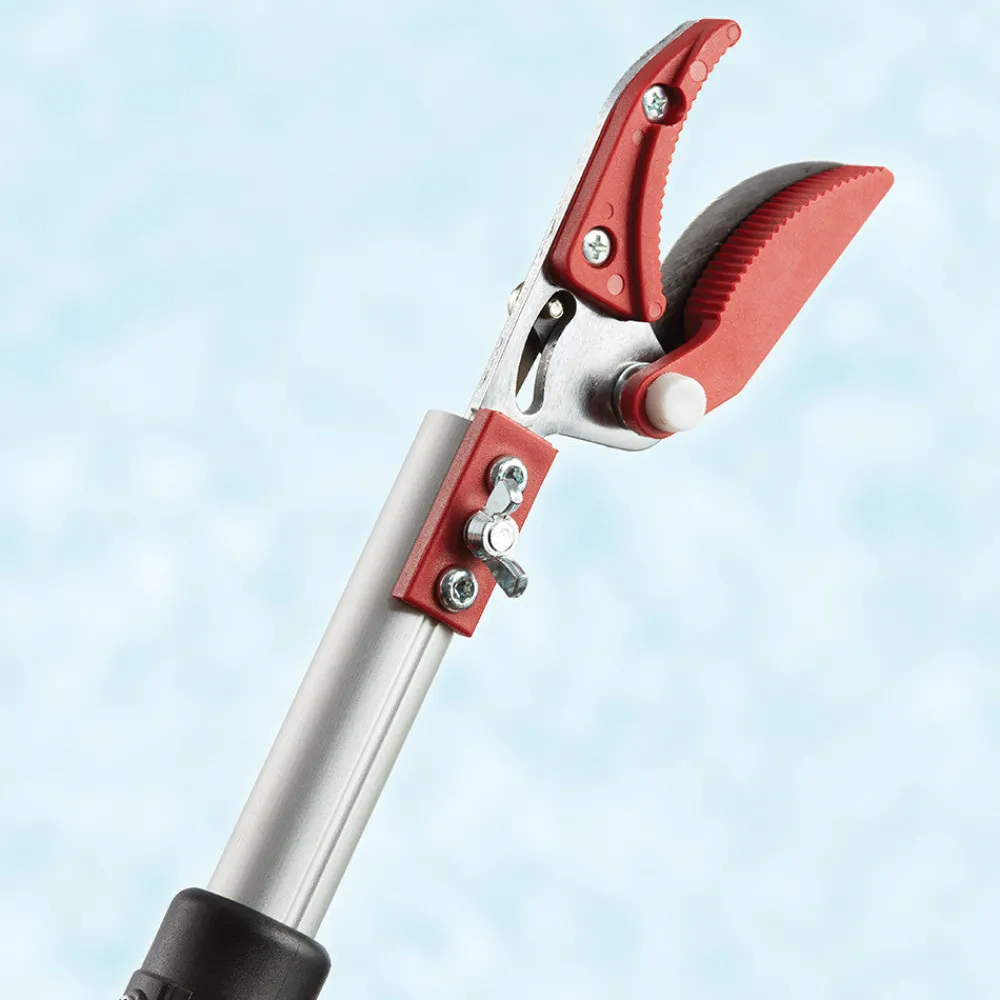 Garrett Wade Long Reach Pruner (Extends to 5 Feet) Best