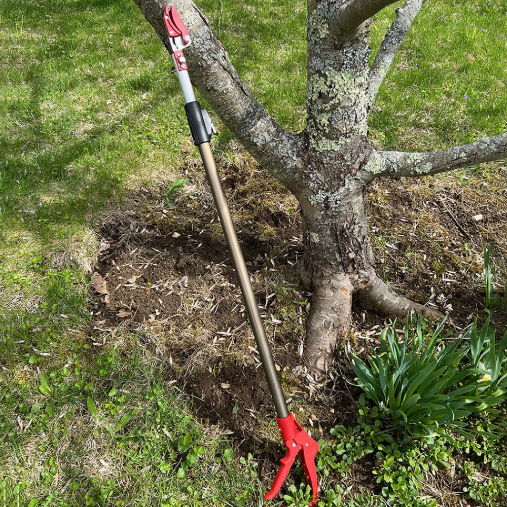 Garrett Wade Long Reach Pruner (Extends to 5 Feet) Best