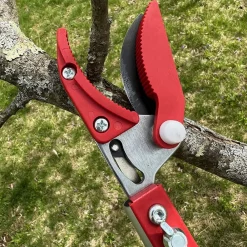 Garrett Wade Long Reach Pruner (Extends to 5 Feet) Best