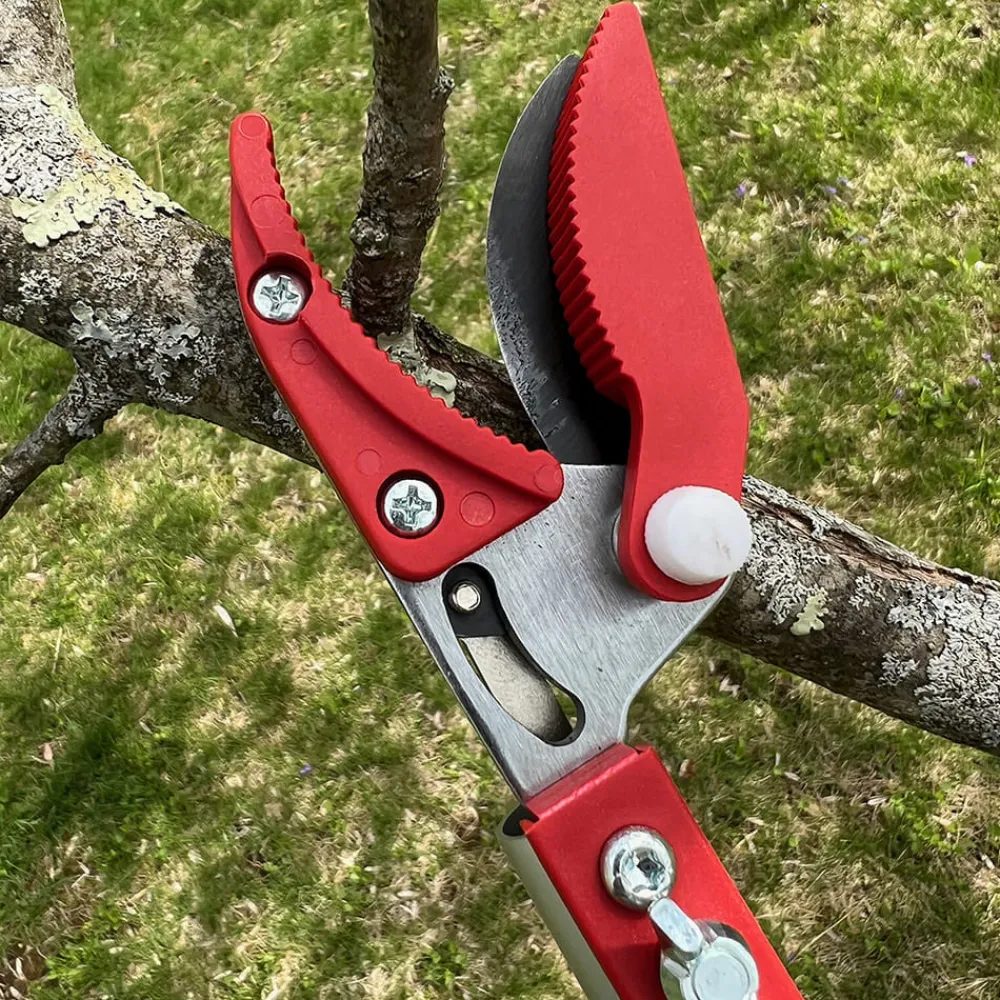 Garrett Wade Long Reach Pruner (Extends to 5 Feet) Best