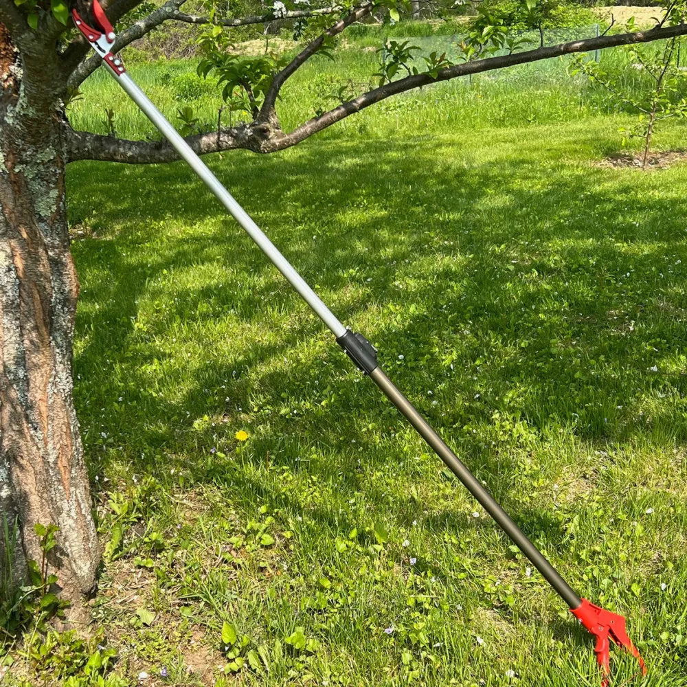 Garrett Wade Long Reach Pruner (Extends to 5 Feet) Best