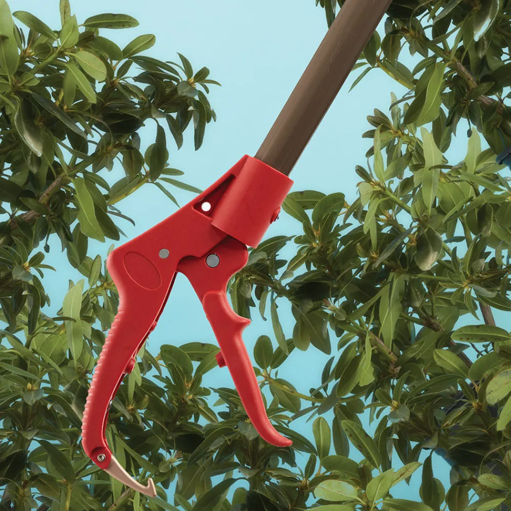 Garrett Wade Long Reach Pruner (Extends to 5 Feet) Best