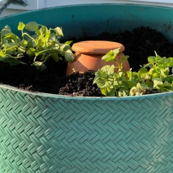 garrett-wade Medium Teardrop-Shaped Terracotta Container Plant Hydrator Outlet