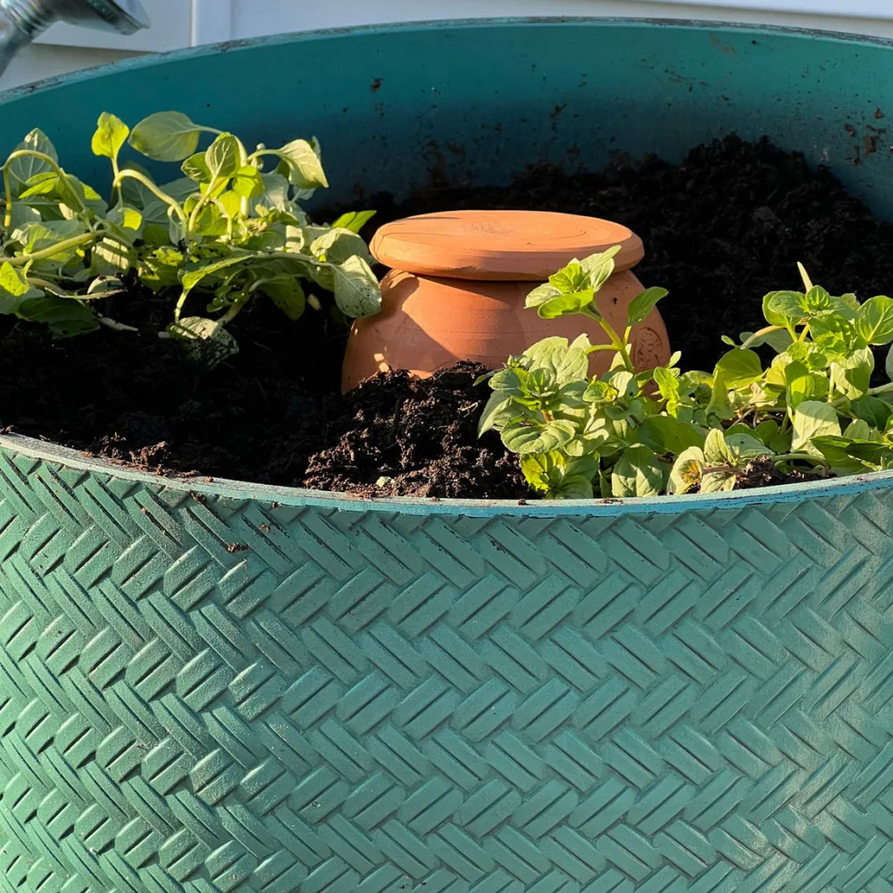 garrett-wade Medium Teardrop-Shaped Terracotta Container Plant Hydrator Outlet