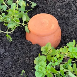 garrett-wade Medium Teardrop-Shaped Terracotta Container Plant Hydrator Outlet