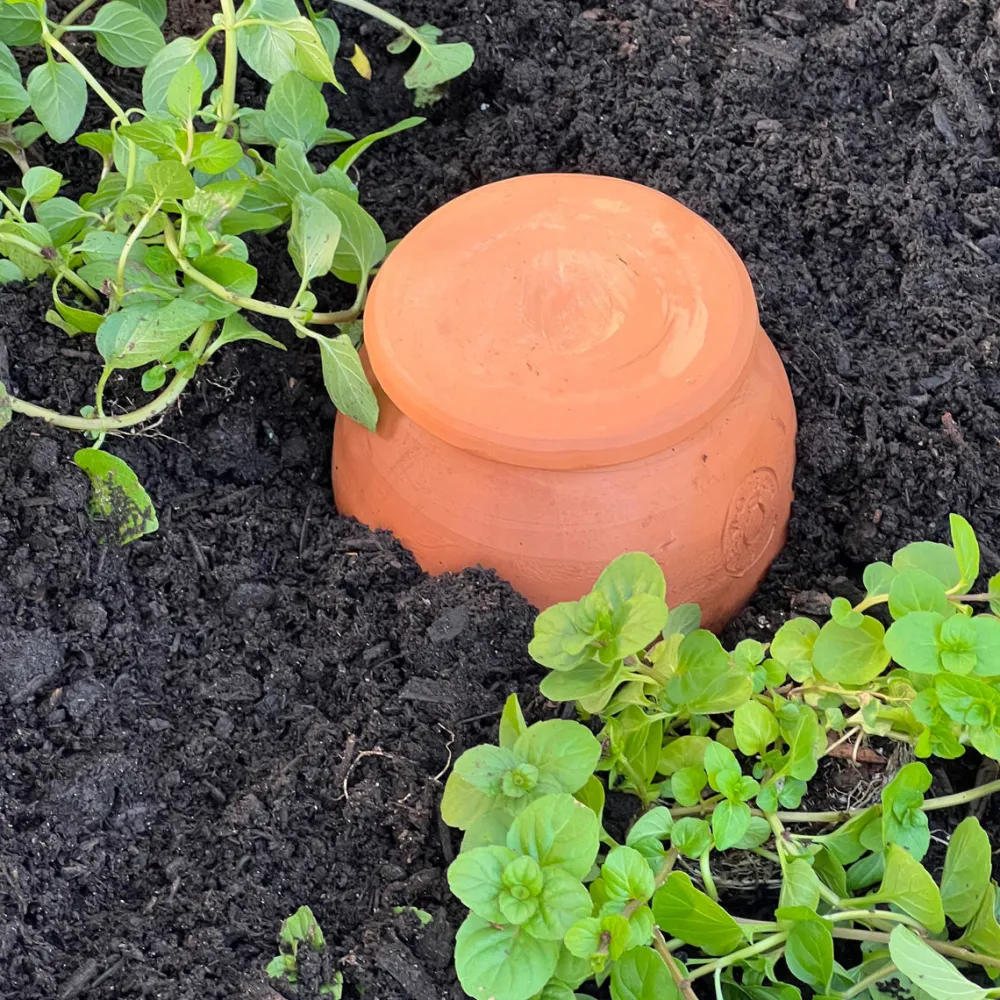 garrett-wade Medium Teardrop-Shaped Terracotta Container Plant Hydrator Outlet