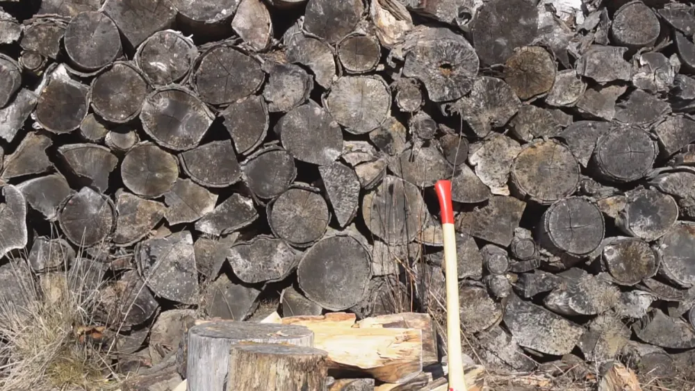 Garrett Wade Professional Splitting Maul New