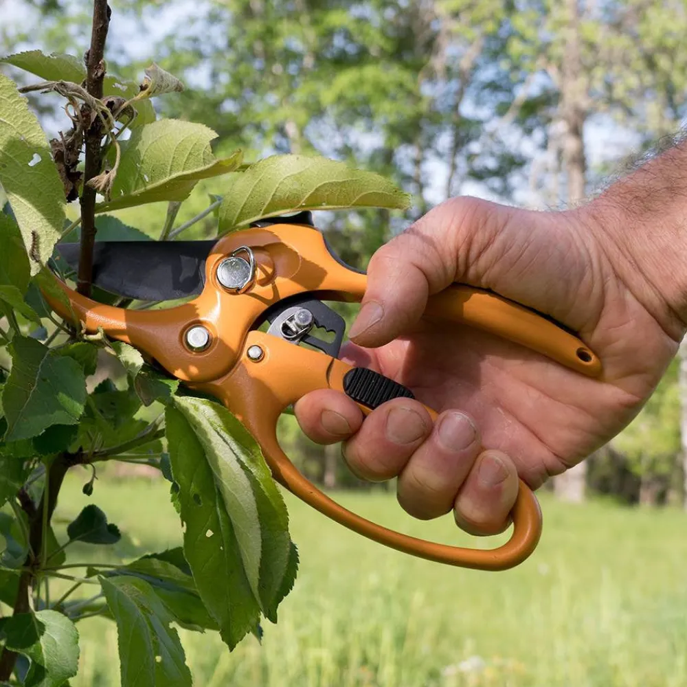 Garrett Wade Ratcheting Hand Pruner Discount