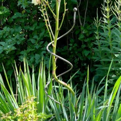 Garrett Wade Spiral Plant Supports (Set of 2)