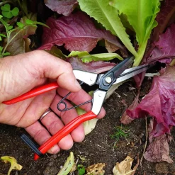 Garrett Wade Spring-Loaded Long-Nose Fruit Scissor Hot