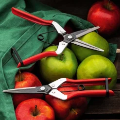 Garrett Wade Spring-Loaded Long-Nose Fruit Scissor Hot
