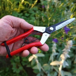 Garrett Wade Spring-Loaded Long-Nose Fruit Scissor Hot